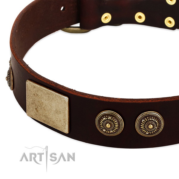 Corrosion proof D-ring on full grain genuine leather dog collar for your four-legged friend