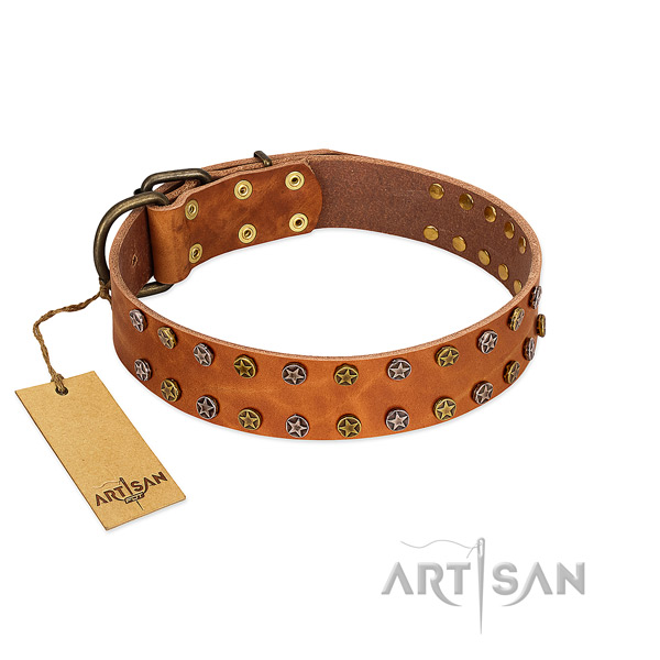 Daily use soft to touch full grain genuine leather dog collar with studs