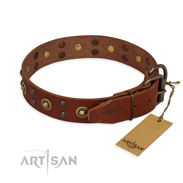 Reliable buckle on genuine leather collar for your lovely dog