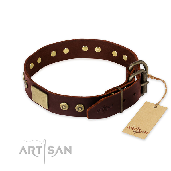 Rust-proof embellishments on basic training dog collar