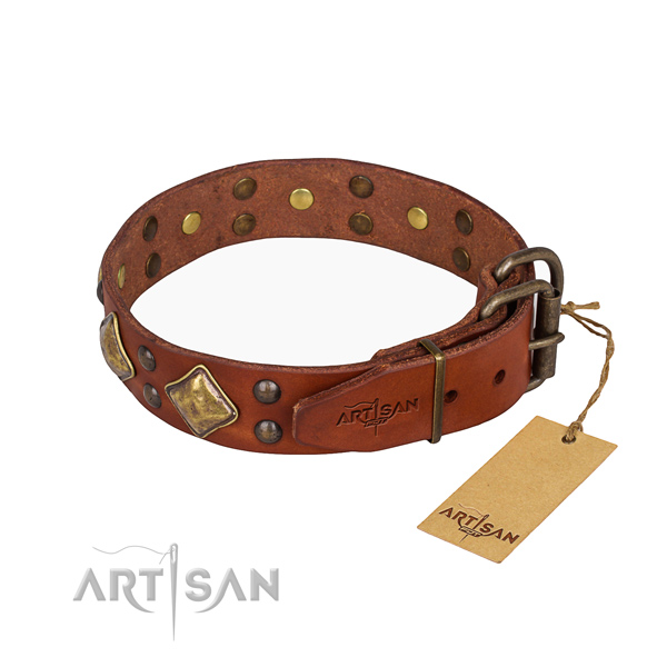 Leather dog collar with exquisite corrosion proof studs