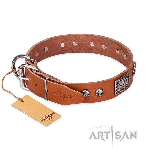 Reliable decorations on stylish walking dog collar