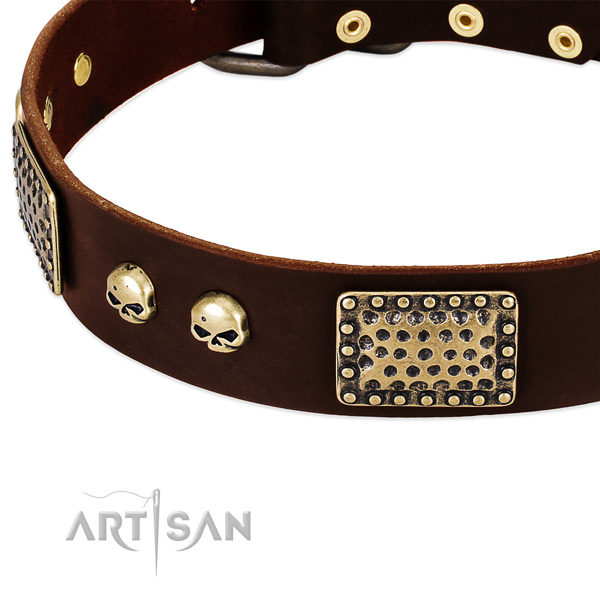 Corrosion proof embellishments on full grain leather dog collar for your dog