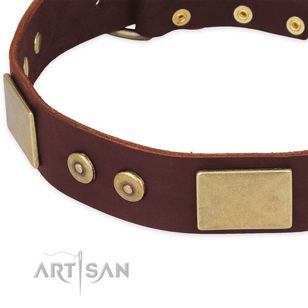 Leather dog collar with studs for comfy wearing