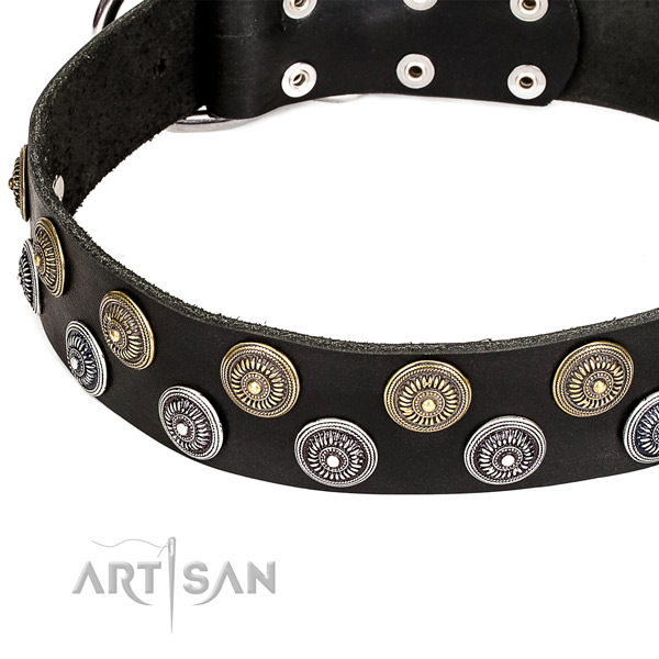 Handy use embellished dog collar of top quality full grain genuine leather