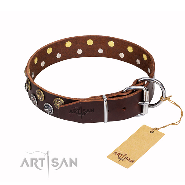 Walking decorated dog collar of fine quality full grain natural leather