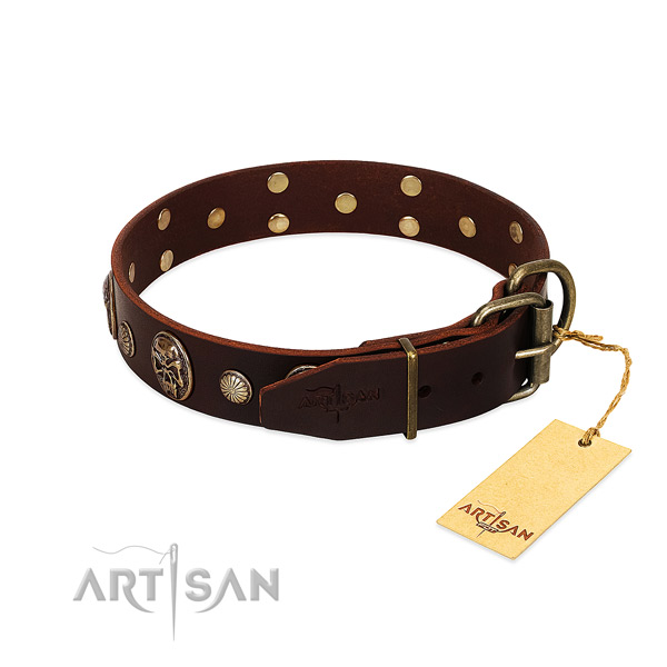 Rust-proof embellishments on basic training dog collar