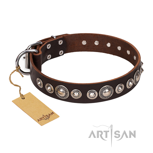 Finest quality studded dog collar of genuine leather