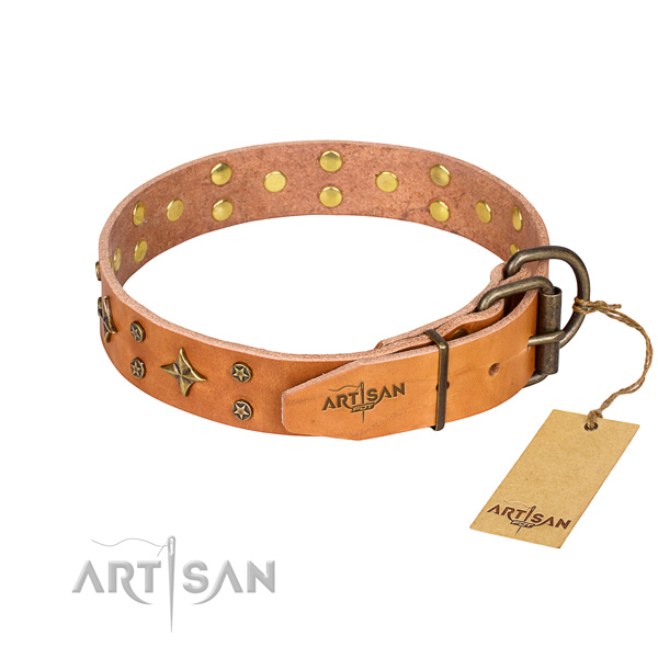 Stylish walking adorned dog collar of top quality natural leather