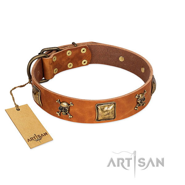 Exceptional full grain genuine leather dog collar with rust-proof studs
