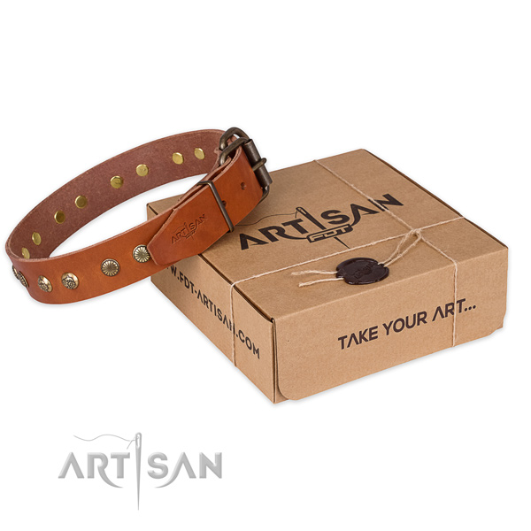 Durable hardware on leather collar for your attractive pet