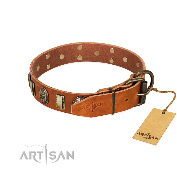 Reliable fittings on full grain natural leather collar for fancy walking your dog