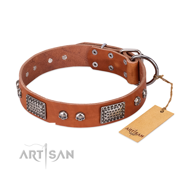 Easy adjustable genuine leather dog collar for stylish walking your doggie