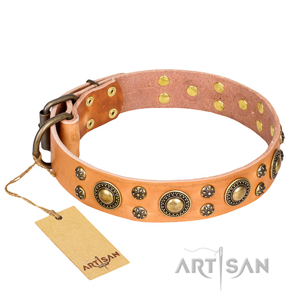 Easy wearing dog collar of best quality full grain leather with embellishments