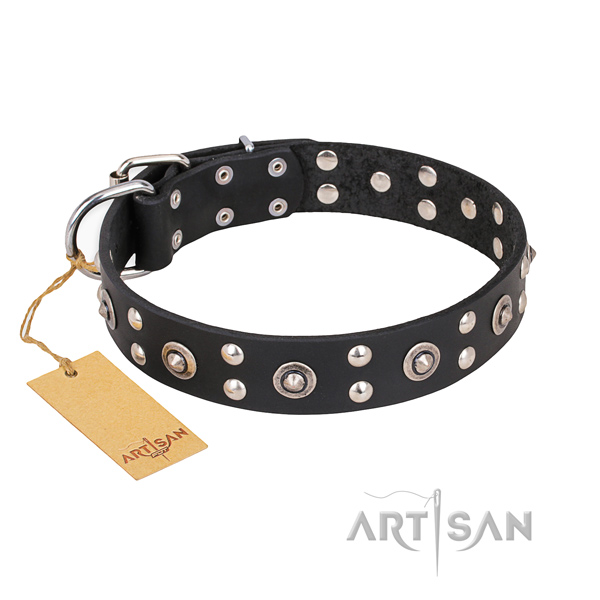 Stylish walking handcrafted dog collar with corrosion proof buckle