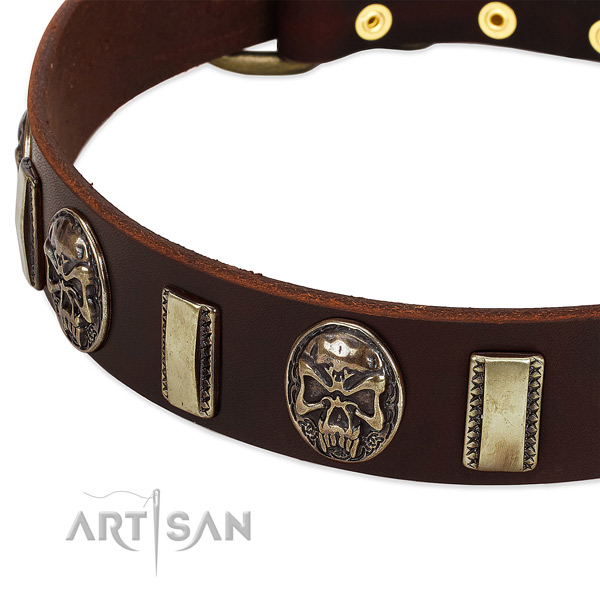 Corrosion proof adornments on full grain natural leather dog collar for your canine