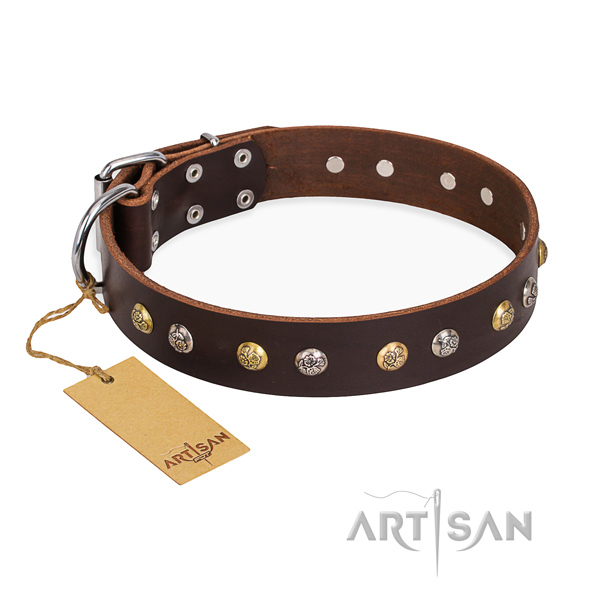 Fancy walking embellished dog collar with rust-proof fittings