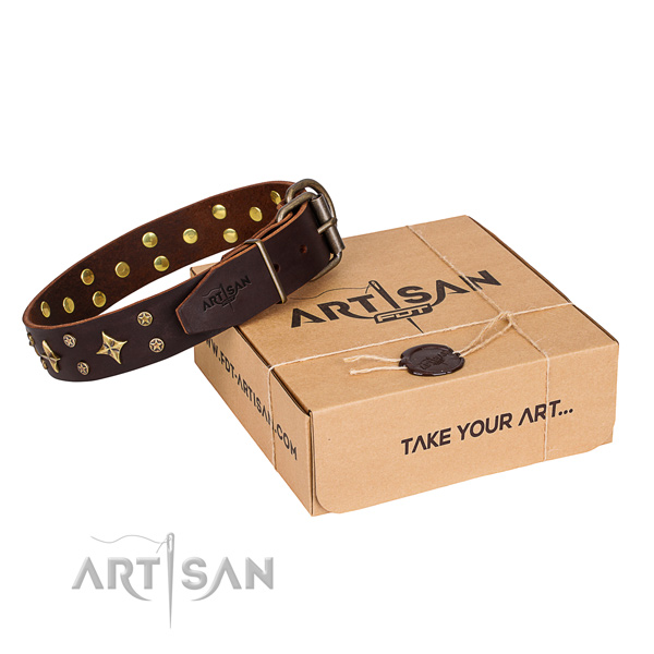 Stylish walking dog collar of fine quality full grain genuine leather with embellishments