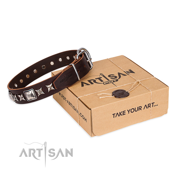 Walking dog collar of best quality full grain genuine leather with embellishments