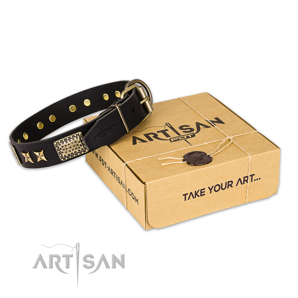 Rust resistant traditional buckle on full grain leather collar for your beautiful canine