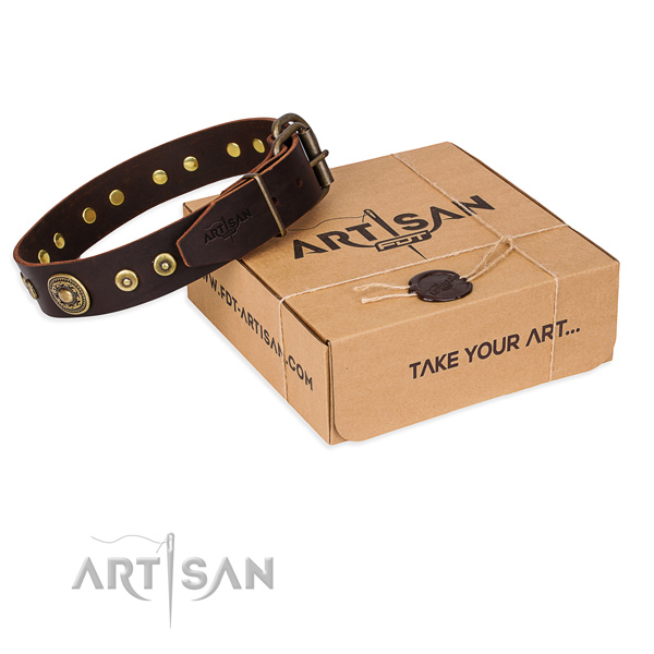 Full grain leather dog collar made of gentle to touch material with reliable traditional buckle