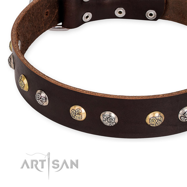 Full grain natural leather dog collar with significant corrosion proof embellishments