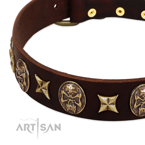 Corrosion resistant decorations on leather dog collar for your pet