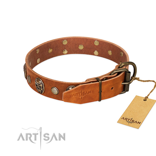 Rust resistant buckle on full grain leather collar for walking your canine