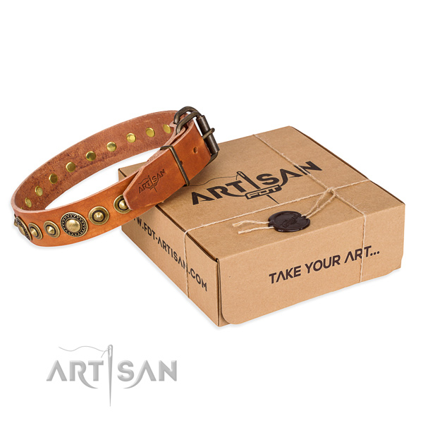 Durable leather dog collar created for daily use