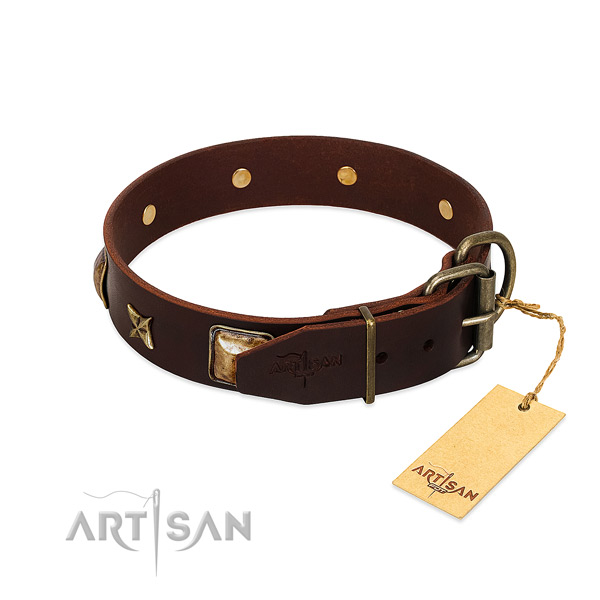 Full grain natural leather dog collar with durable buckle and studs