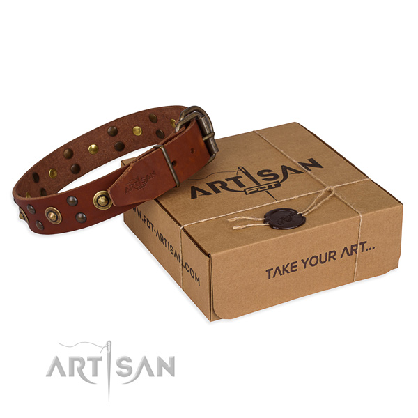 Corrosion proof hardware on full grain genuine leather collar for your lovely dog