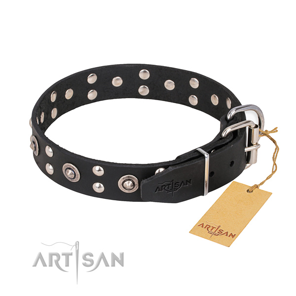 Full grain natural leather dog collar with significant reliable embellishments