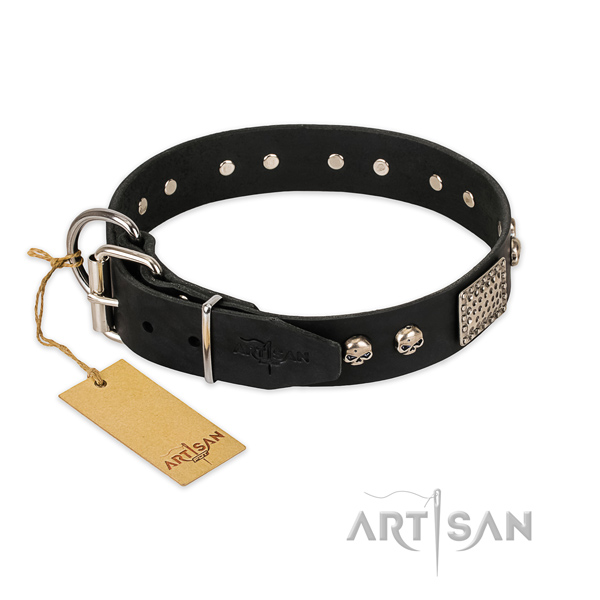 Corrosion proof buckle on everyday walking dog collar