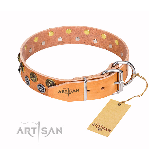 Daily use embellished dog collar of durable genuine leather