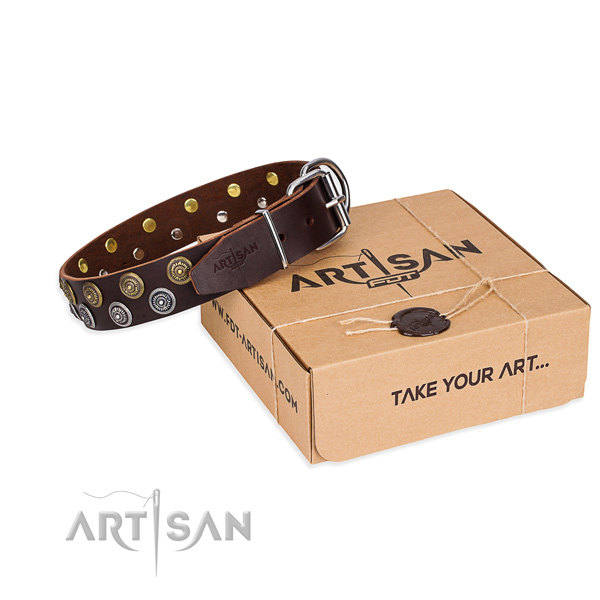 Daily walking dog collar of top notch genuine leather with embellishments