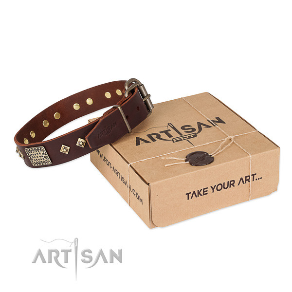 Stunning leather collar for your impressive doggie
