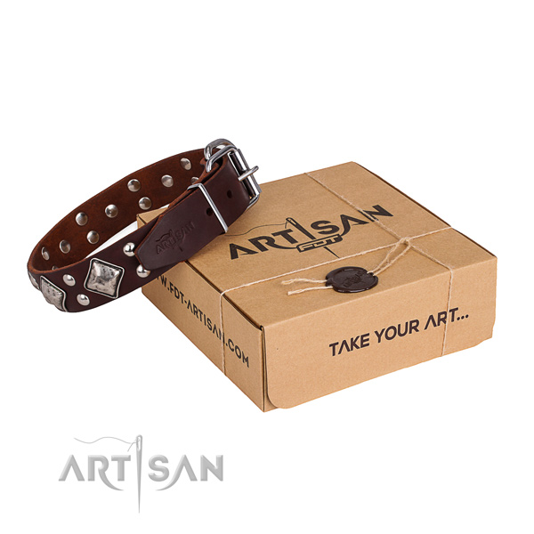 Daily use dog collar with Incredible rust-proof embellishments