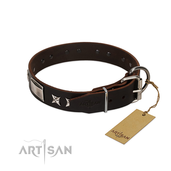 Incredible collar of genuine leather for your impressive canine