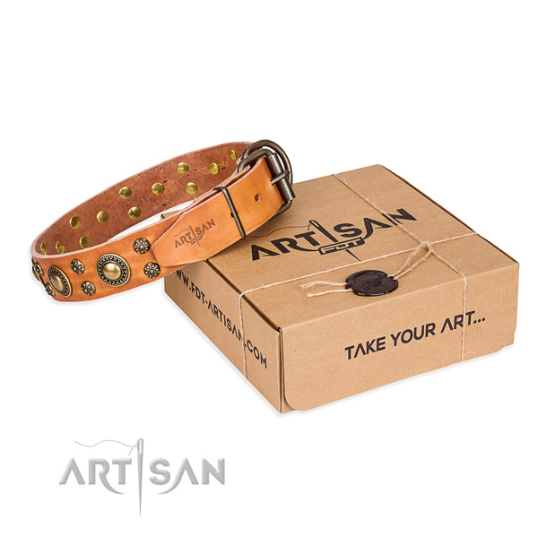 Easy wearing dog collar of reliable full grain natural leather with decorations