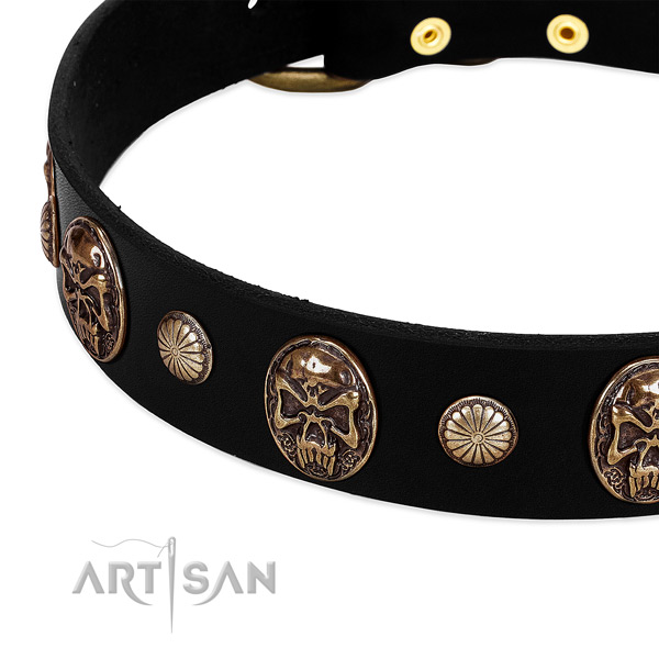 Natural leather dog collar with stunning adornments