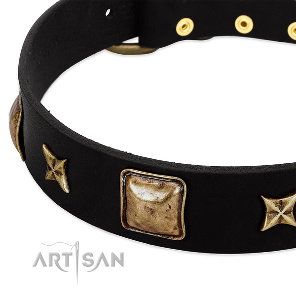 Full grain natural leather dog collar with trendy decorations