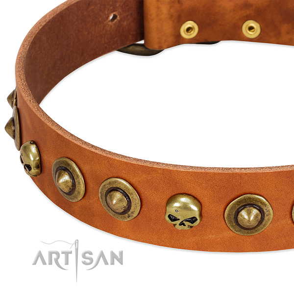 Incredible embellishments on genuine leather collar for your four-legged friend