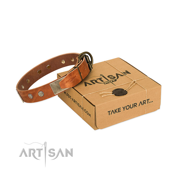 Corrosion proof adornments on dog collar for comfortable wearing