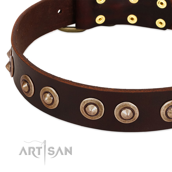 Reliable hardware on full grain genuine leather dog collar for your canine