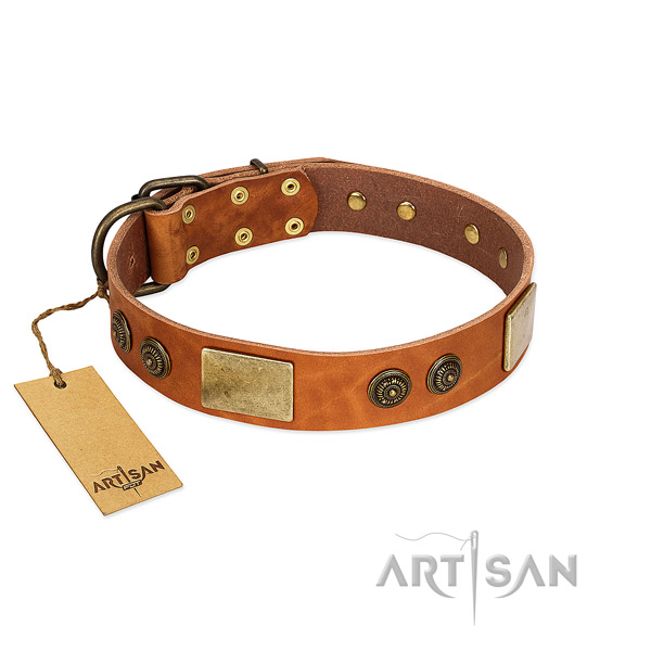 Embellished genuine leather dog collar for fancy walking