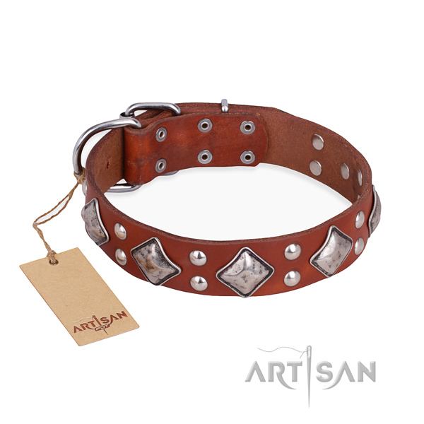 Easy wearing comfortable dog collar with rust resistant traditional buckle