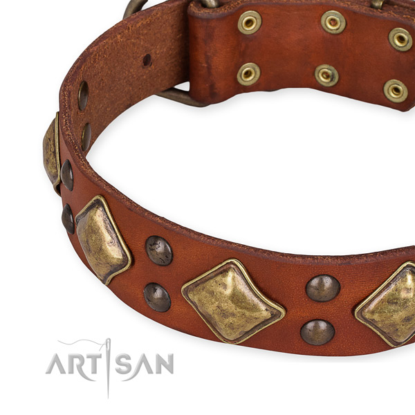 Natural leather collar with reliable fittings for your attractive doggie