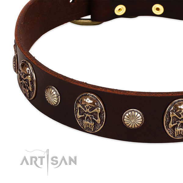 Leather dog collar with studs for comfy wearing