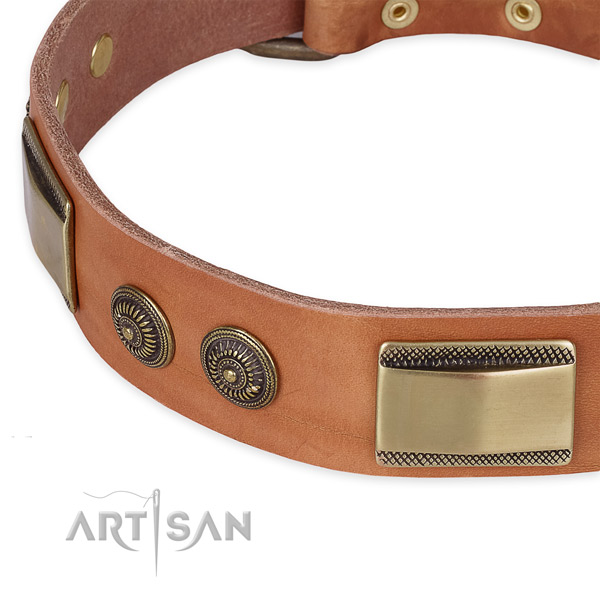 Awesome leather collar for your impressive dog