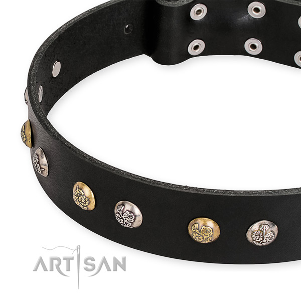 Natural genuine leather dog collar with inimitable strong embellishments